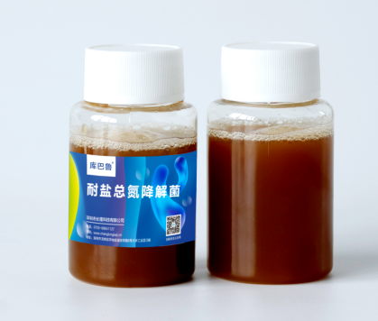 庫(kù)巴魯耐鹽總氮降解菌(反硝化細(xì)菌)