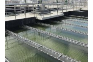 【干貨】有機(jī)物導(dǎo)致的氨氮超標(biāo)?這種情況該如何處理呢？